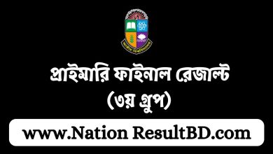 প্রাইমারি ফাইনাল রেজাল্ট ২০২৪ (৩য় গ্রুপ) পিডিএফ